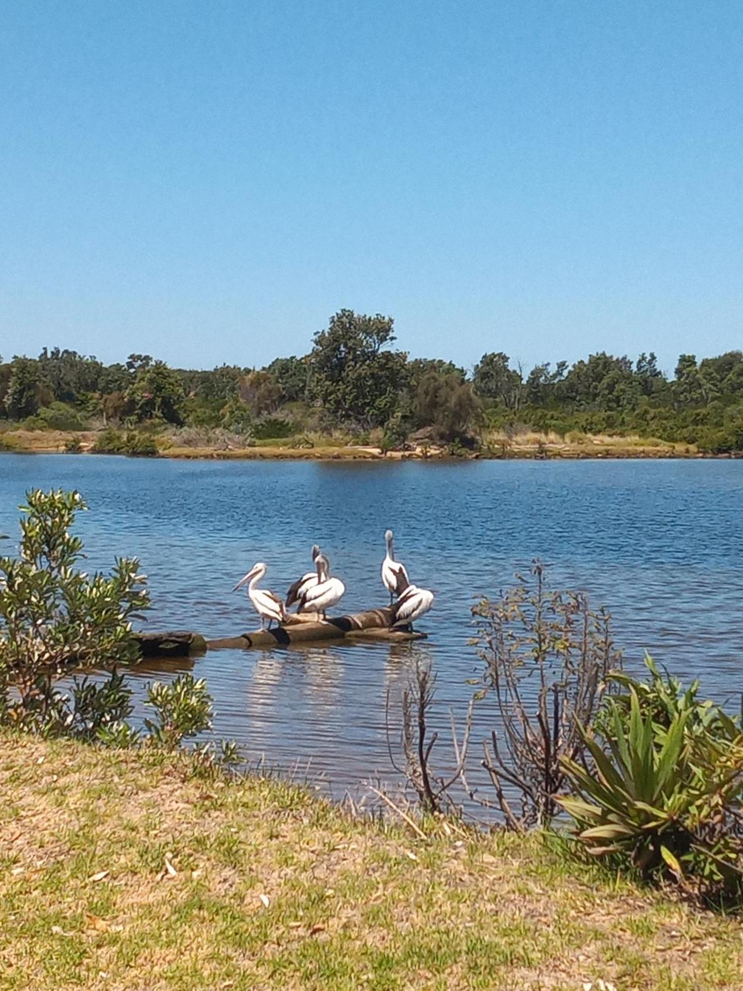 Lakes Entrance Waterfront Cottages With King Beds Exterior foto